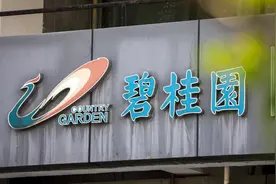 碧桂园境内债重组进展：3月分期款项拟展期至9月支付，为公开债券争取6个月的谈判期图片