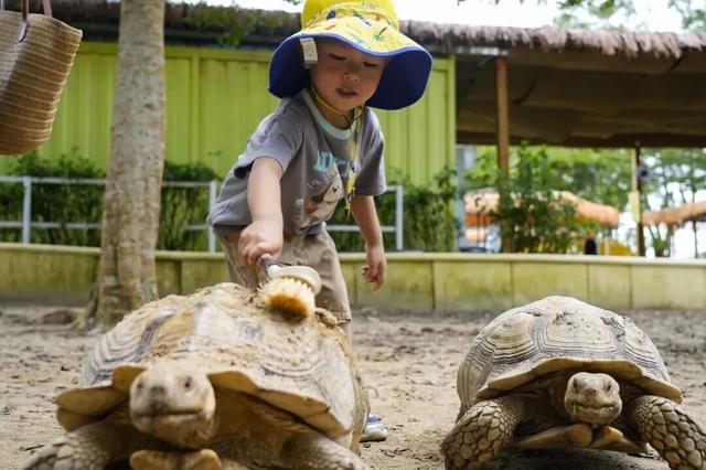 陵水过冬指南：除了晒太阳，还能这么玩！