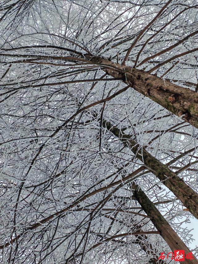 组图 | 石门：银装素裹 东山峰美成童话