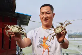 金秋蟹肥肉美，来武汉东西湖吃螃蟹吧图片