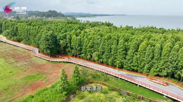 把暑期交给呈贡 | 在滇池绿道尽情体验跑步的畅快