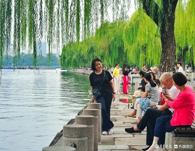 明湖垂柳曼妙多姿，游人如织景致如画
