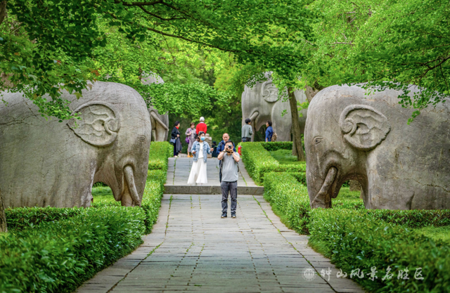 南京钟山风景区发布游览交通指南