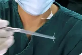 吃鱼卡刺？“无刺草鱼”来了，卡刺可能要解决了图片