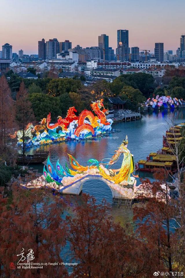 门东新“顶流”！一棵美到让全南京排队围观的树！