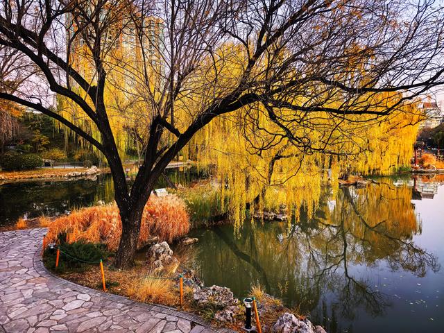 太美了！北京紫竹院如油画般梦幻