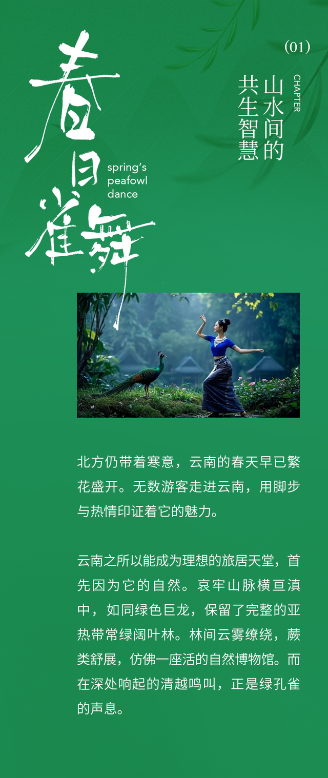 中国“旅居”天花板，为什么还得是云南？