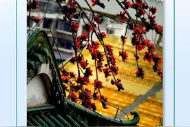 早参｜住宿游玩美食消费文创统统都有大礼包！3月16日广州等你来图片
