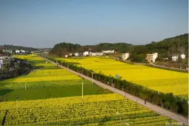 湖南衡南：“泉湖二月八”  人山人海赶集来图片