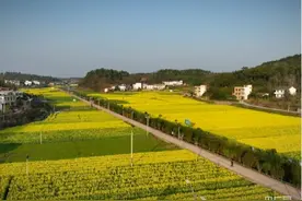 湖南衡南：“泉湖二月八”  人山人海赶集来图片