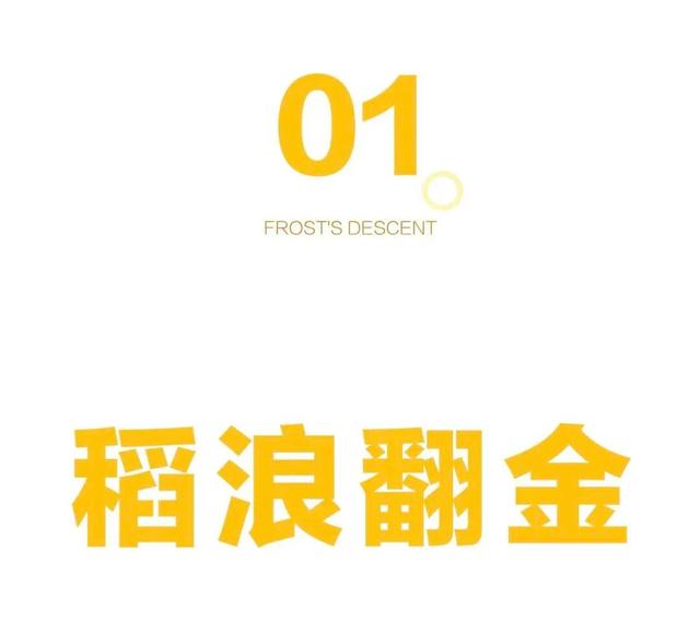 今日霜降！一城秋色满目鲜！