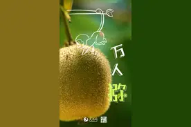 猕猴桃，还是奇异果？图片