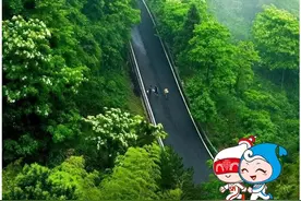 体荟四季丨一“骑”去兜风！这4条长三角春日骑行路线，在运动中邂逅春天图片