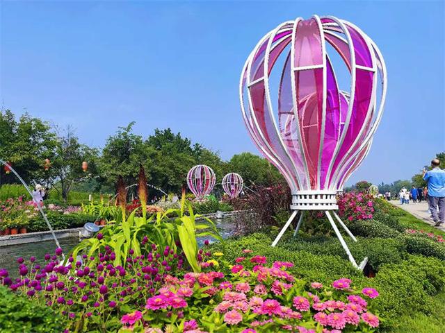 围炉煮茶赏花海！国庆来这处景区疯玩吧