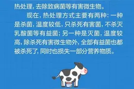 一图看懂！鲜牛奶、纯牛奶、调制乳、高温杀菌奶有什么区别图片