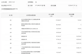 龙虎榜丨岩山科技今日涨停，知名游资方新侠净买入6904.15万元图片