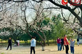 又是一年清明至：品味传统文化 感受时代新韵图片