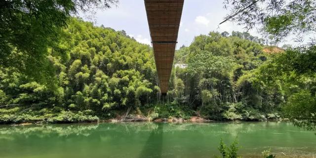 解锁融安“美丽庭院”新玩法，畅享乡村自在游