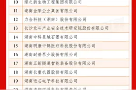 快讯丨 第十一届全球湘商大会为第二届“新湖南贡献奖”颁奖图片