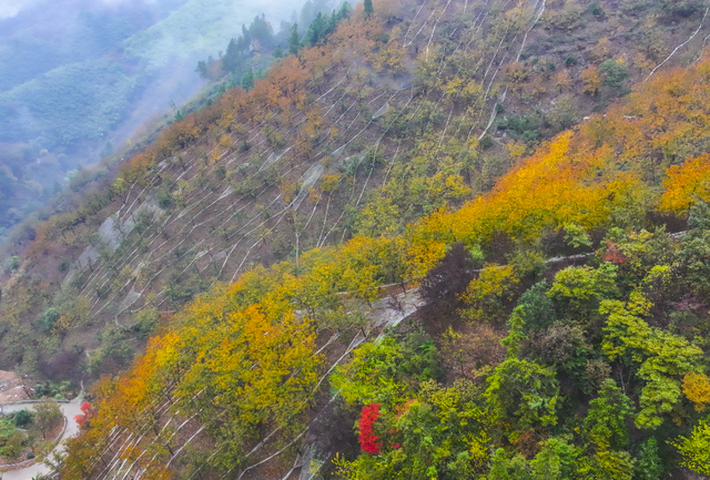 我在这里，等你→