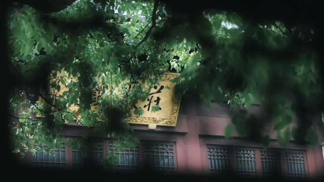 空调费都省了！趁周末，来这里领取你的城市避暑“凉”方