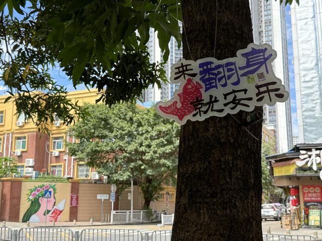 “我在翻身”IP爆红，深圳宝安一条路激活城区人文与流量