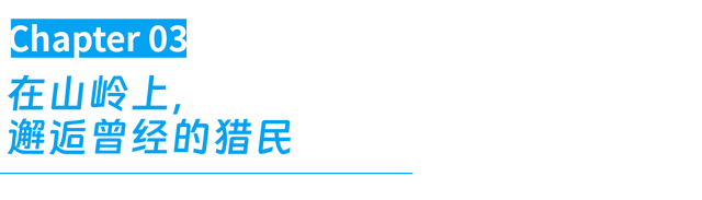 在这座东北小城，被顶级秋景暴击