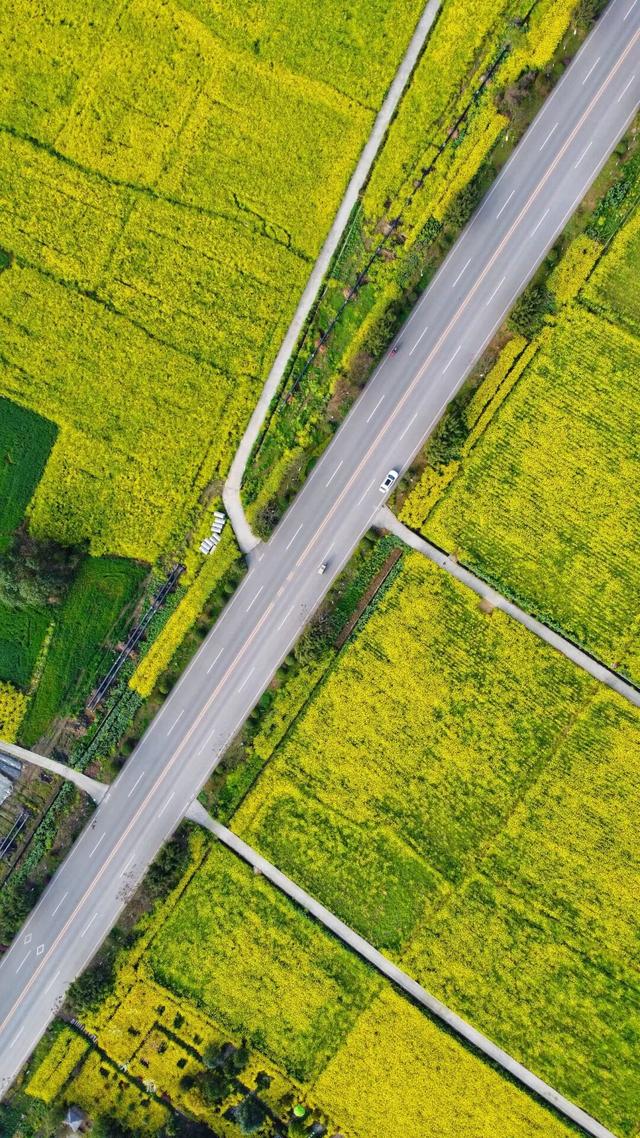 穿越1600年，天府密码在此激活