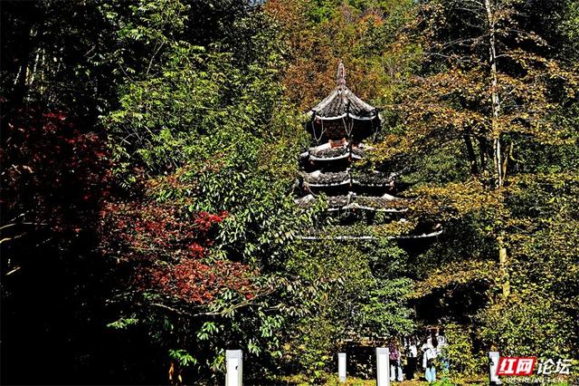 岁暖时刻丨无需远行，中坡山便是怀化的诗与远方