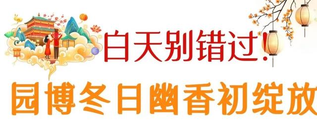 剧透抢先看！这届园博园花灯会“戏很多”
