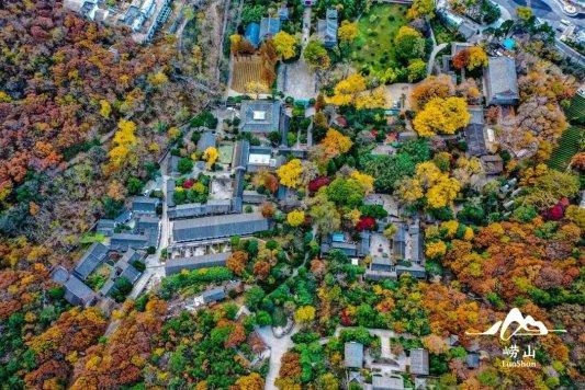 畅游青岛 文明相伴｜2025崂山赏秋地图发布，秋韵“大片”绝美上映！