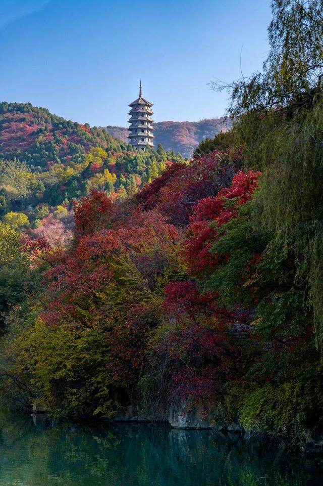 热门消息-济南的秋天，是懂“配色”的！(3)