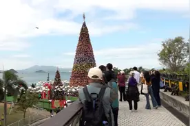 C919翱翔维港 香港掀国产大飞机热图片