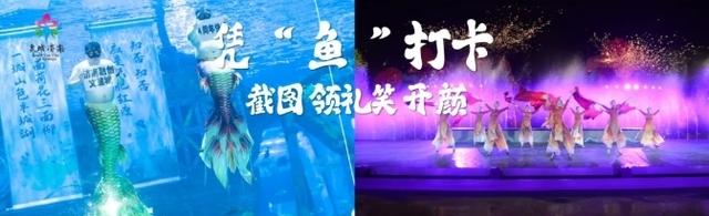 泉城“鱼”乐大联欢 “好客山东”摆盛宴