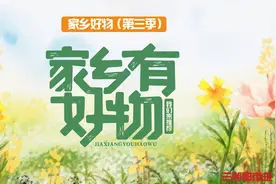 家乡好物（第三季）来了，湖南广电15支一县一品公益广告发布图片