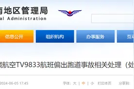 客机偏出跑道起火！机长被撤销执照，公司被罚90万元图片