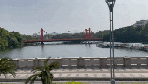 坐上公交游八桂 一路繁花一路景