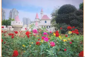 清明一站式观赏动物、植物、文物，广州动物园暖心奉上游园攻略图片