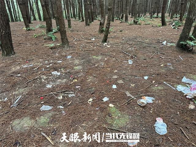 【记者手记】文明露营,方是自然之友