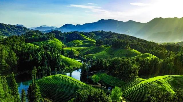 外交部赵立坚热情推荐的恩施这4个地方，究竟有多美？
