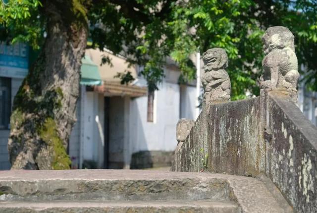 避开人挤人！这个假期，来奉化“村游”啦~