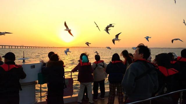 东大洋“海上穿越大桥”环游航线升级，“追鸥逐浪+海上穿越大桥”