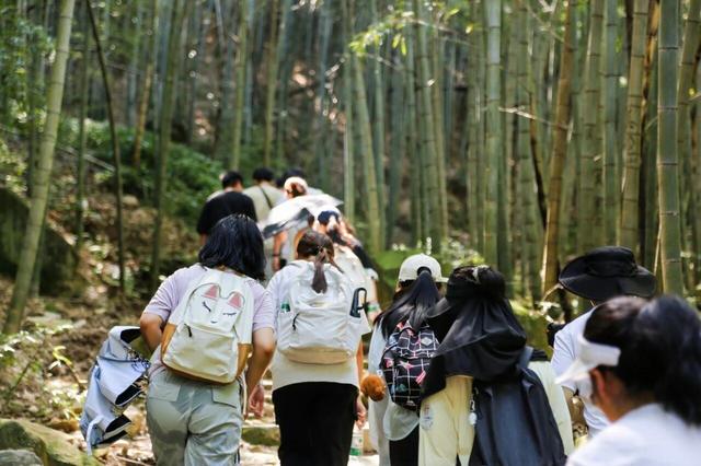 “每周一山”富阳旅游直通车文旅活动发车啦