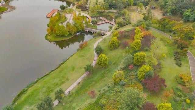 仪陇的秋天很美啊!