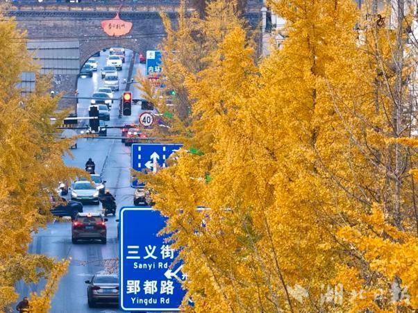 人气顶流！杏运西城citywalk攻略来了！