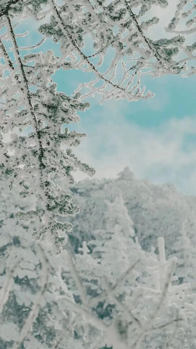 12月，去云南→踏雪而行，向山而去