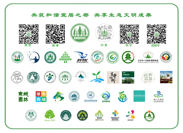 福利丨温榆河夜溯溪流与昆虫探秘活动招募