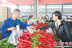 建好“菜园子” 拎稳“菜篮子”！长沙全力实施“菜篮子”工程建设提升四年行动图片