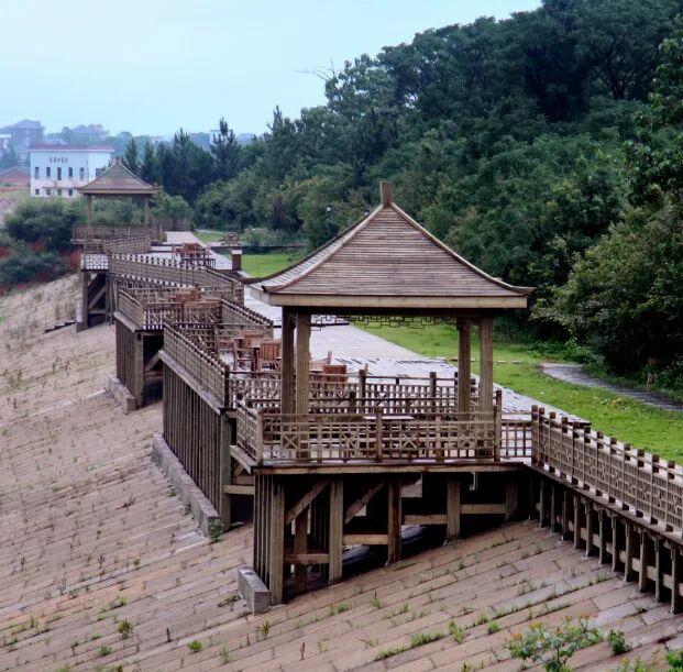 万羽齐飞！鄱阳湖观鸟季拉开序幕