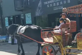 “马上旅游”搅热乌鲁木齐夏日游图片